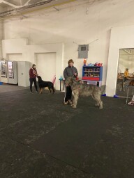 Training inPezinok before European show